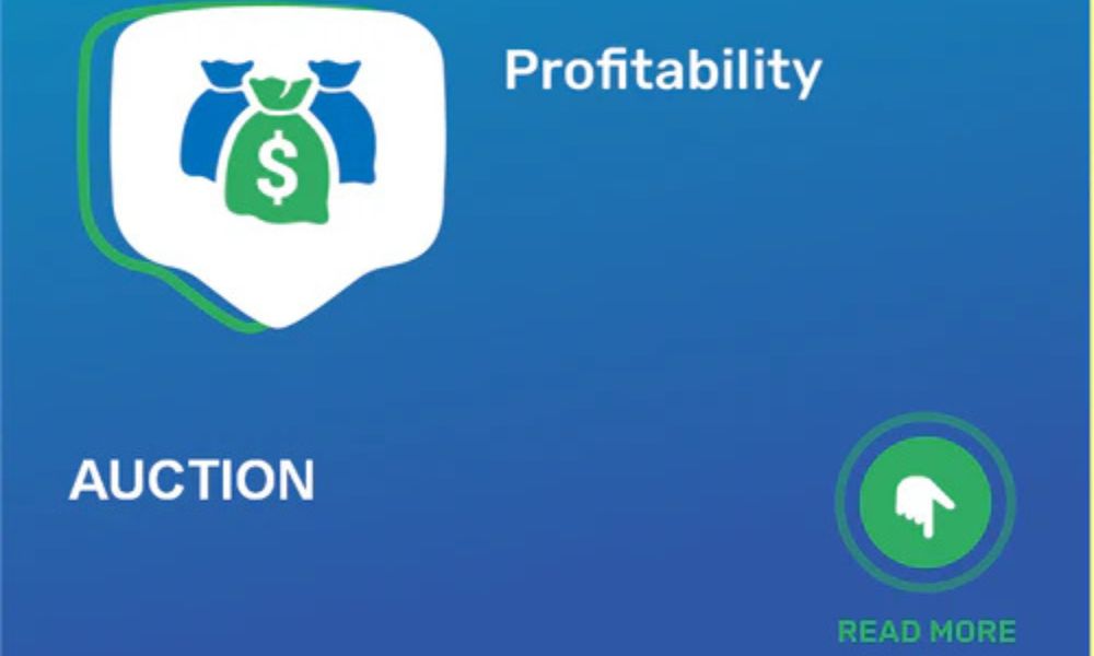 Maximize Profits from Local Online Auctions